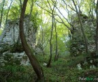 Stari grad na sastavcima Paljanske i Mokranjske Miljacke